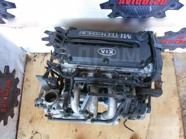Киа спектра фото двигателя Купить ДВС контрактный S6D Kia Spectra, Shuma. Rio (Кия Рио, Шума, Спектра) в Са