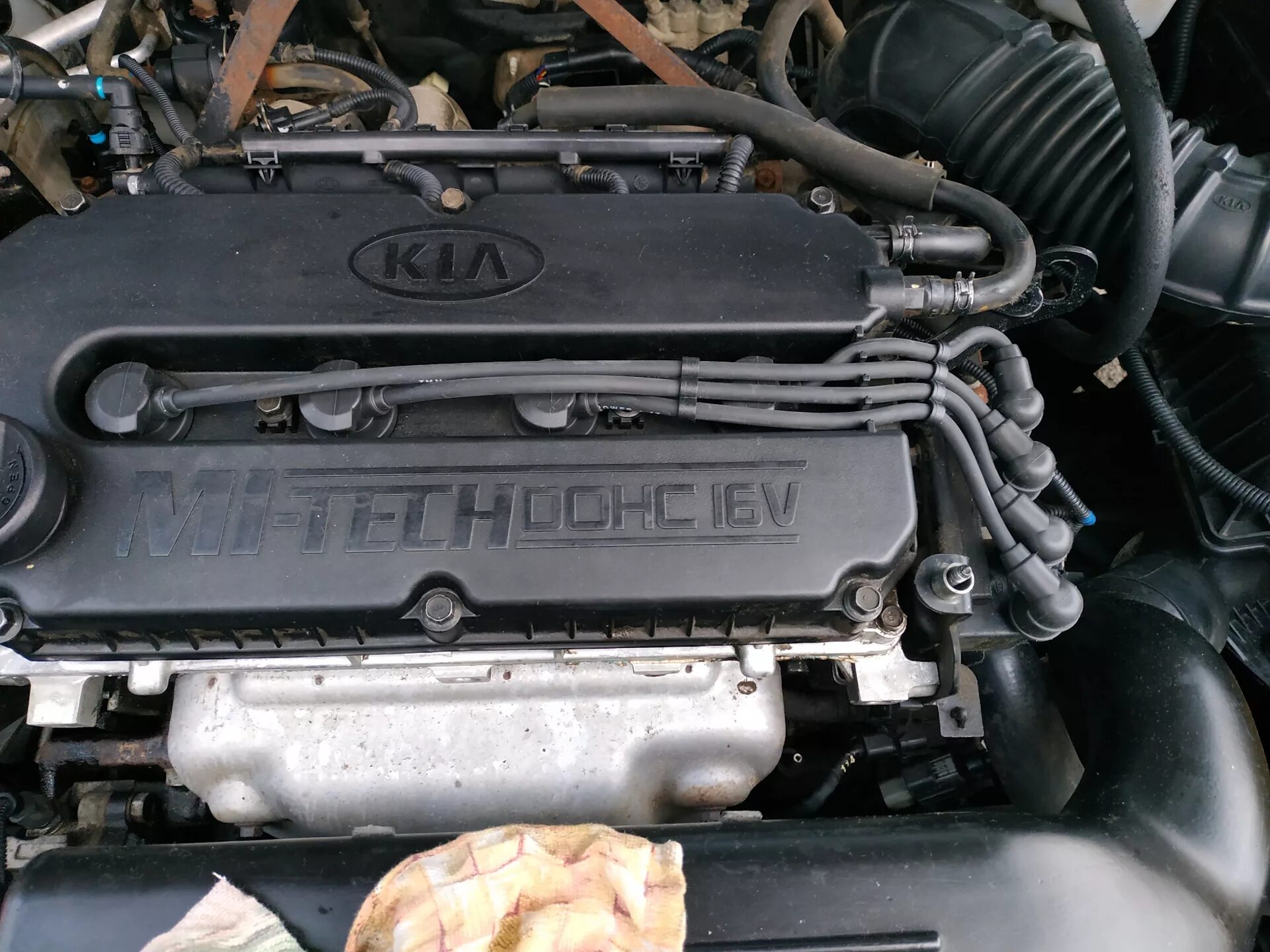 Киа спектра фото двигателя Помыл движок на свою голову. - KIA Spectra, 1,6 л, 2008 года поломка DRIVE2