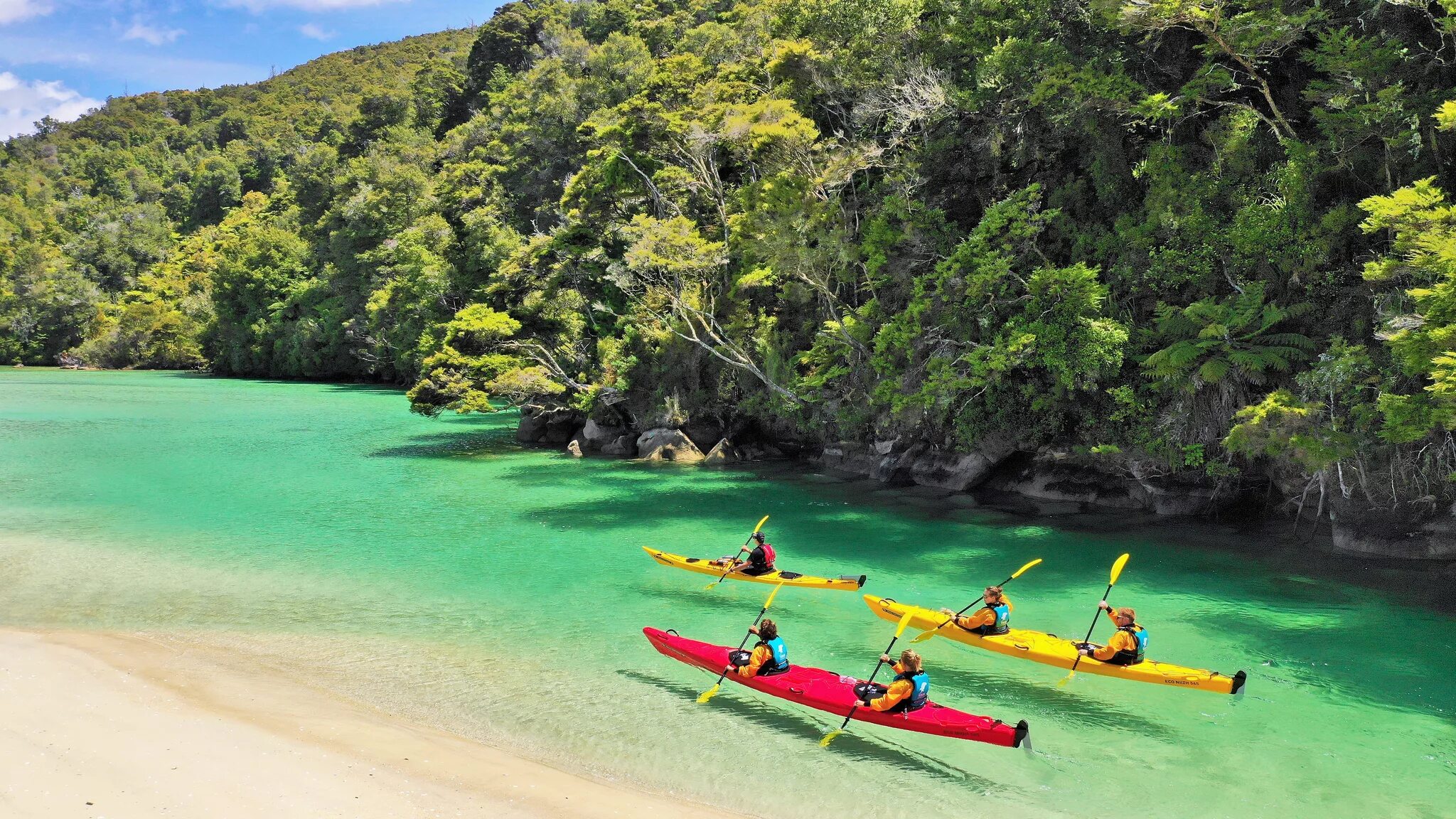 Киа тасман фото Abel Tasman Coast Track New Zealand Factory Sale glomart.kz