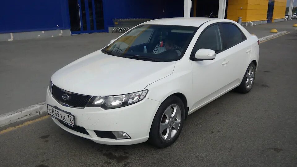 Киа церато белая фото KIA Cerato (2G) 1.6 бензиновый 2009 Белая на DRIVE2