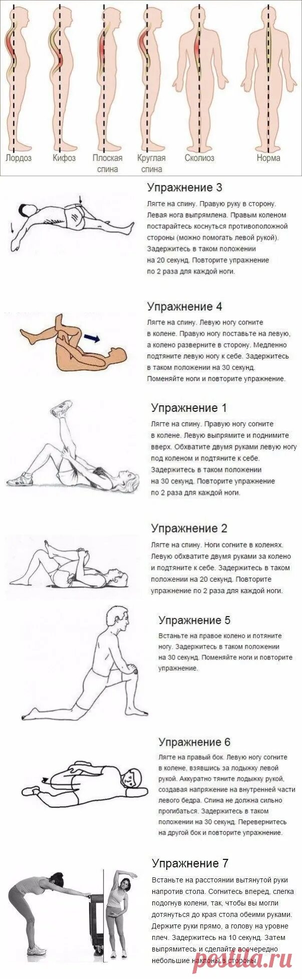 Кифоз поясничного отдела упражнения фото 7 упражнений, которые избавят от искривления и болей в спине. Я-ДИЕТА-ПИТАНИЕ-СП