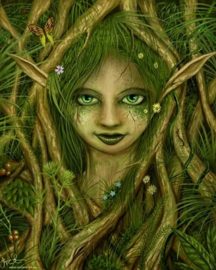 Кикимора лесная фото Green elf Magical creatures, Green man, Faeries