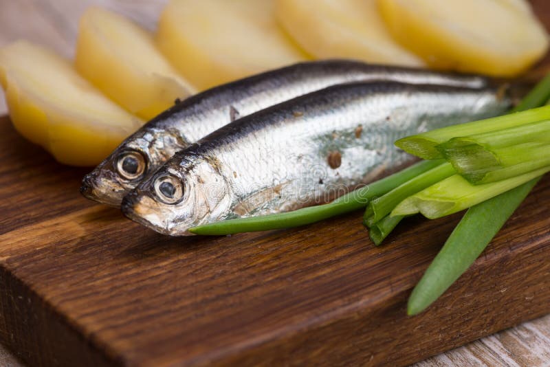 Килька фото рыбы Spicy Salted Anchovies, Onions and Boiled Potatoes Stock Image - Image of eating