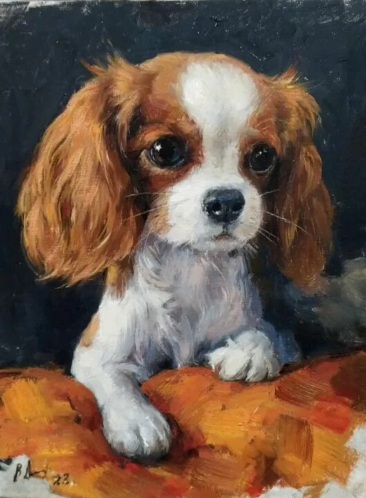 Кинг чарльз собака фото Cavalier king charles spaniel. - Vladimir Aleksandrov in 2023 Cavalier king char