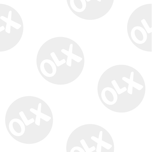 Кинкалоу кошка фото Кинкалоу - Тварини в Київ - OLX.ua
