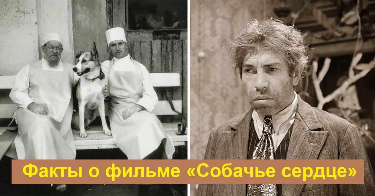 Кино собачье сердце актеры и роли фото Интересные факты о фильме "Собачье сердце", которые вы не знали - nakonu.com