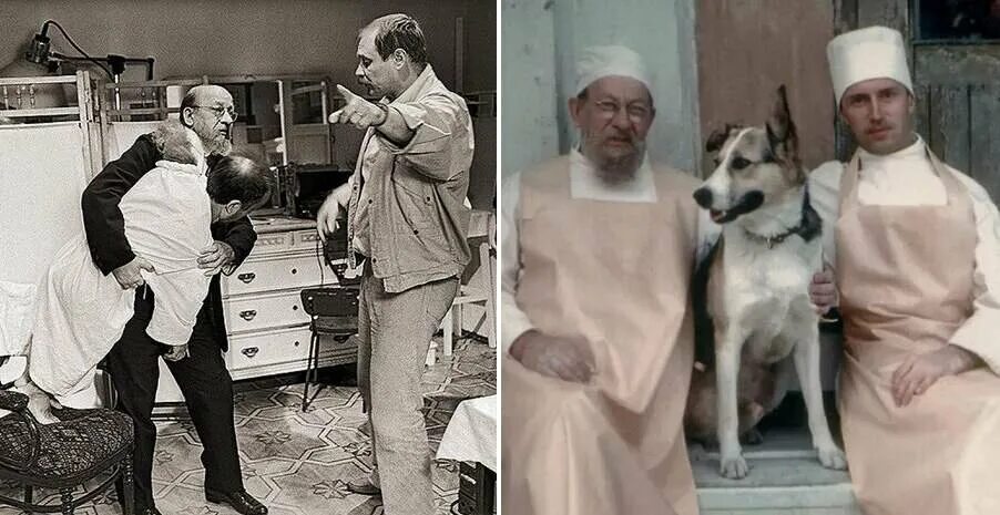 Кино собачье сердце актеры и роли фото Владимир Бортко - "Собачье сердце", политическая карьера и секреты семьи режиссё