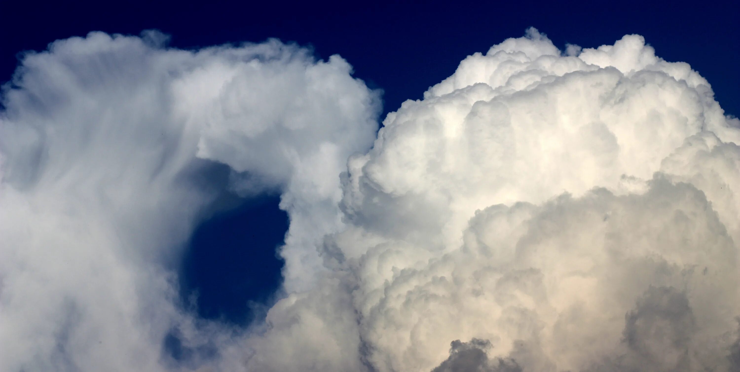 Кинуть фото в облако Free Images : cloud, sky, white, fluffy, weather, cumulus, meteorological phenom