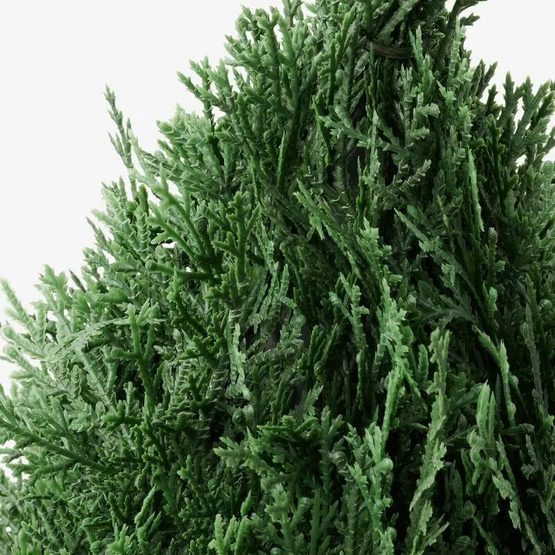 Кипарис ул ленина 230 фото Искусственное растение кипарис IKEA FEJKA Artificial Plant Cypress, зеленый - ку
