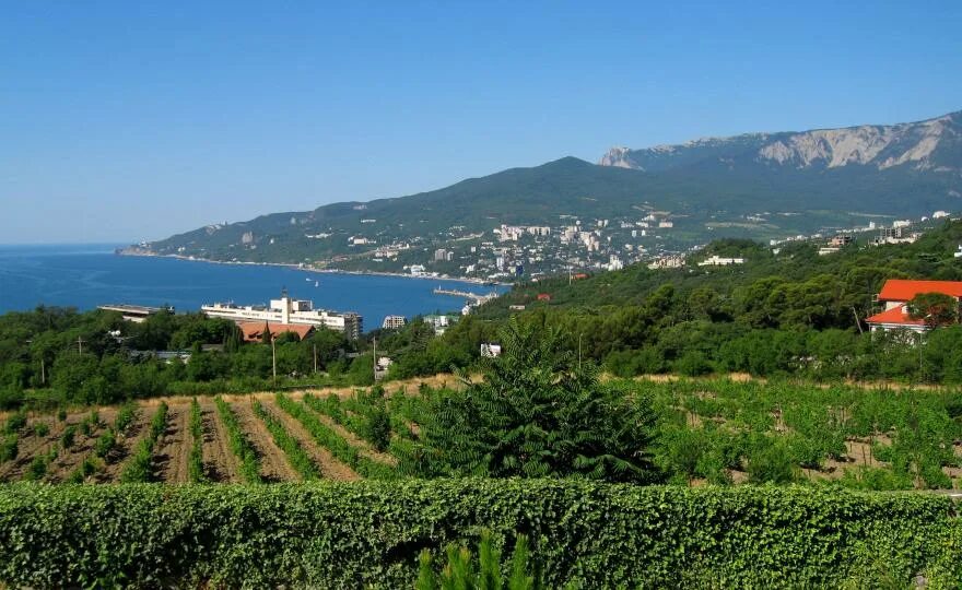 Кипарисное крым фото В Крыму откроется первая "винная деревня" Investment portal of the Republic of C