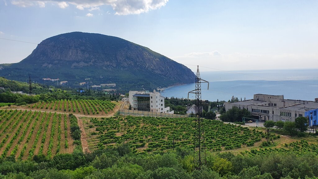 Кипарисное крым фото Панорама: Большой Мишка, гостиница, Ялтинская ул., 25Б/2, п. г. т. Гурзуф - Янде
