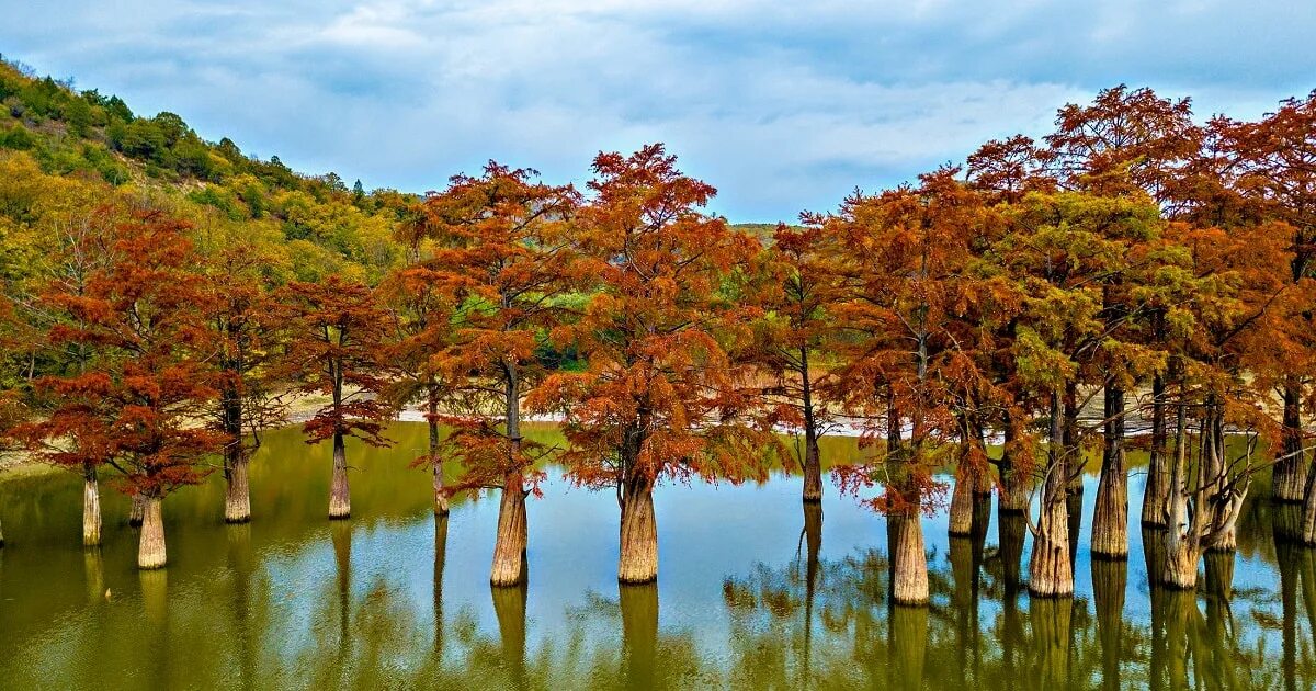 Кипарисовое озеро сукко осенью фото Озеро Сукко в Анапе пересохло