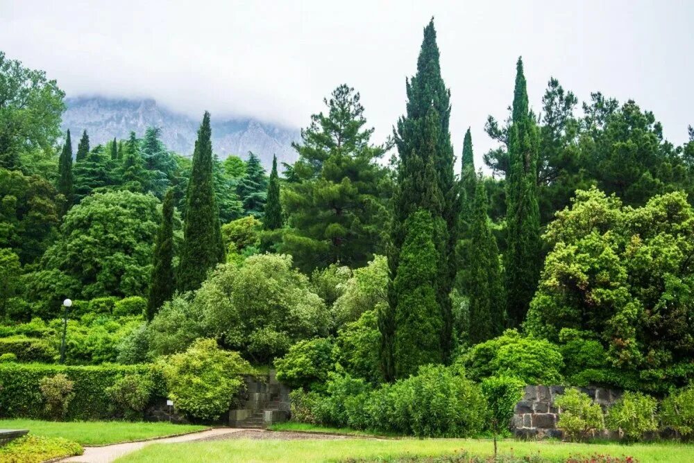 Кипарисы в крыму фото Крым. Моё первое впечатление - Страница 2 - Отзывы, рассказы, впечатления - Фору