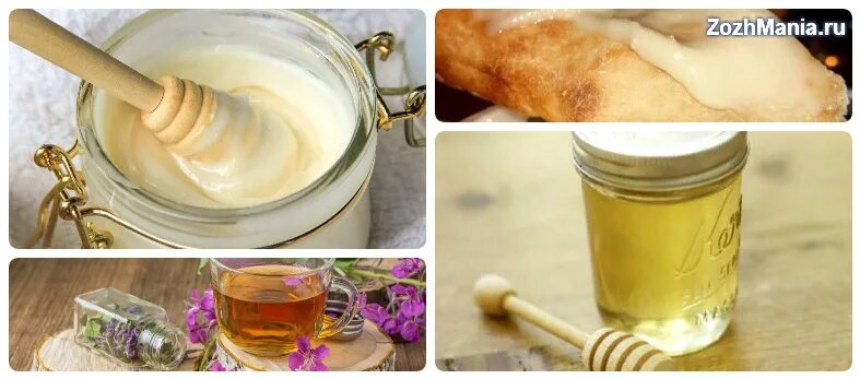 Кипрей мед фото Иван чай мед eCookie.ru