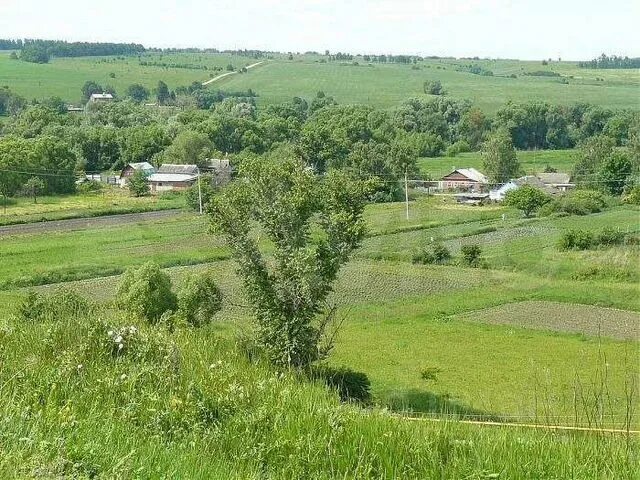Киреевский район тульской области фото Дом 35 м² на участке 15 сот. на продажу в Бородинском Купить дом в Бородинском А