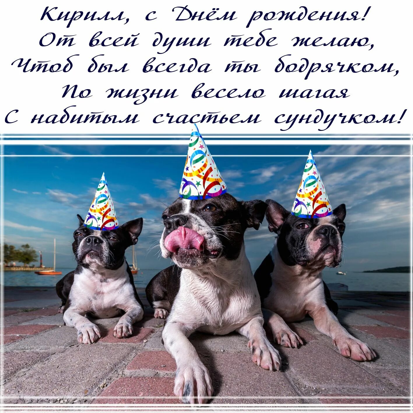 Кирилла с днем рождения прикольные картинки поздравления Открытка - собачки в колпачках поздравляют Кирилла с Днём рождения