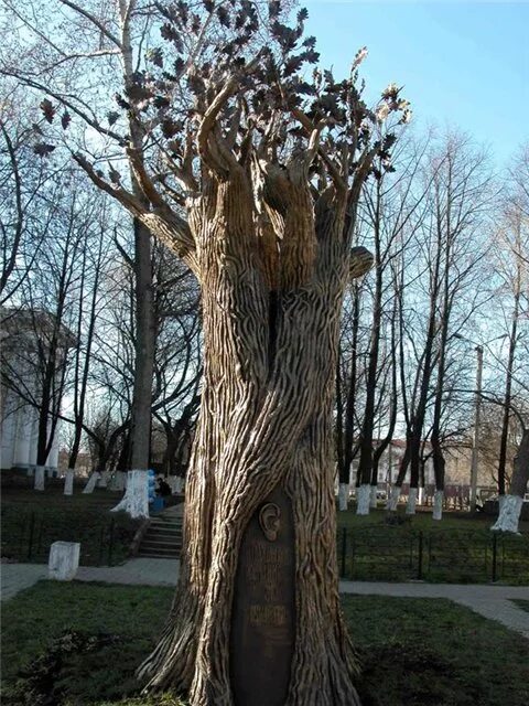 Киров дерево желаний фото Дерево желаний Мария ФМ