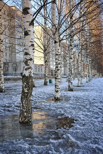 Киров весной фото Весна притворилась... (Светлана Шаляпина) / Проза.ру