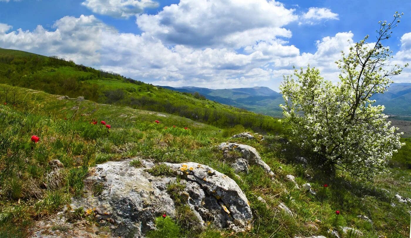 Кировский район крыма фото Праздник "Мое село родное." 2018, Кировский район - дата и место проведения, про