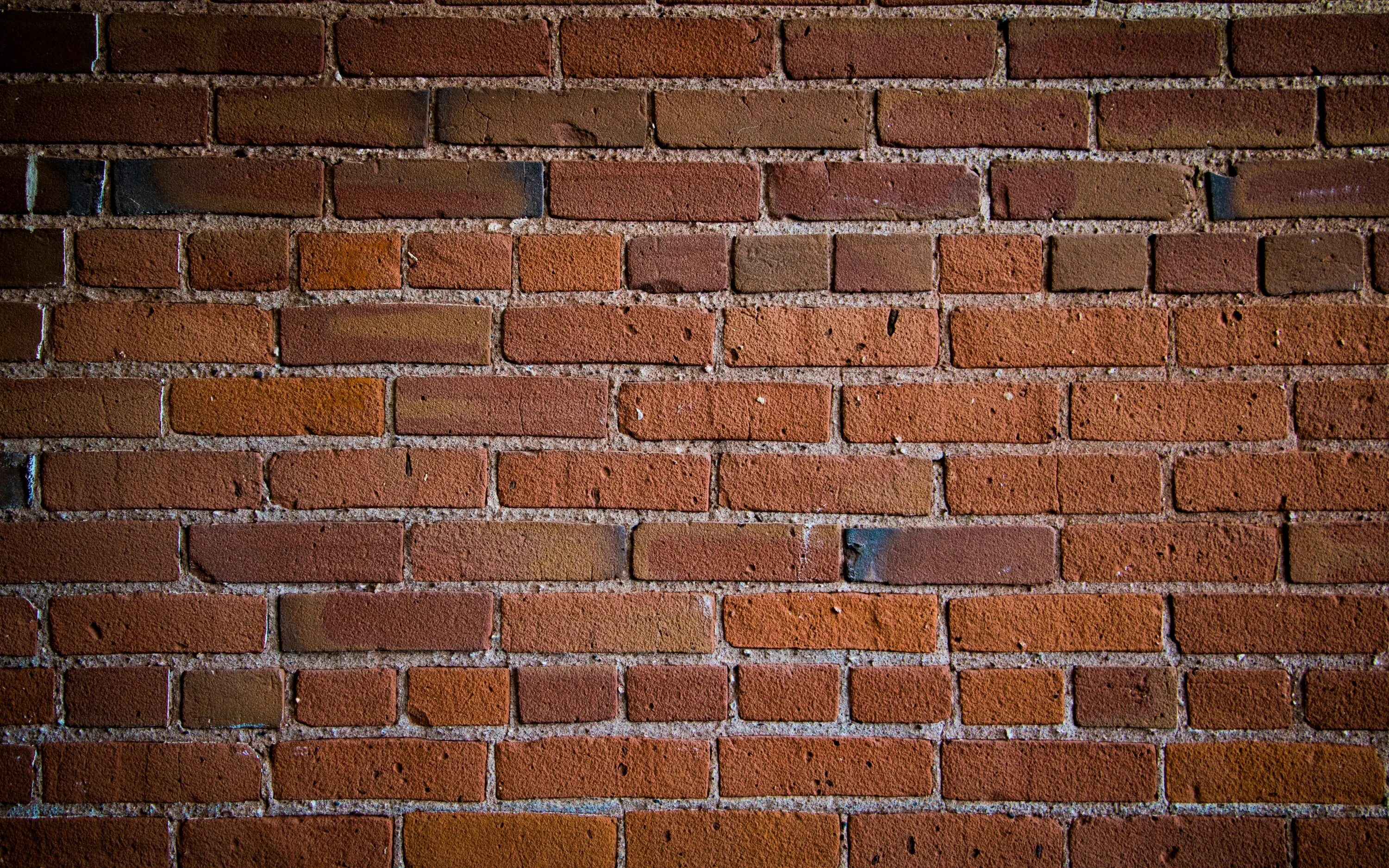 Кирпич красивый фото Download wallpaper 3840x2400 wall, bricks, texture 4k ultra hd 16:10 hd backgrou