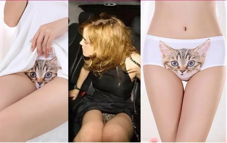 Киска внутри фото 2016 3D Printed Sexy Pussy Cat Panties Pink Womens Bragas Calcinha Briefs Culott