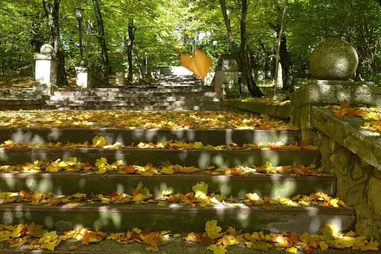 Кисловодск достопримечательности фото осенью Кисловодск осенью фото YugNash.ru