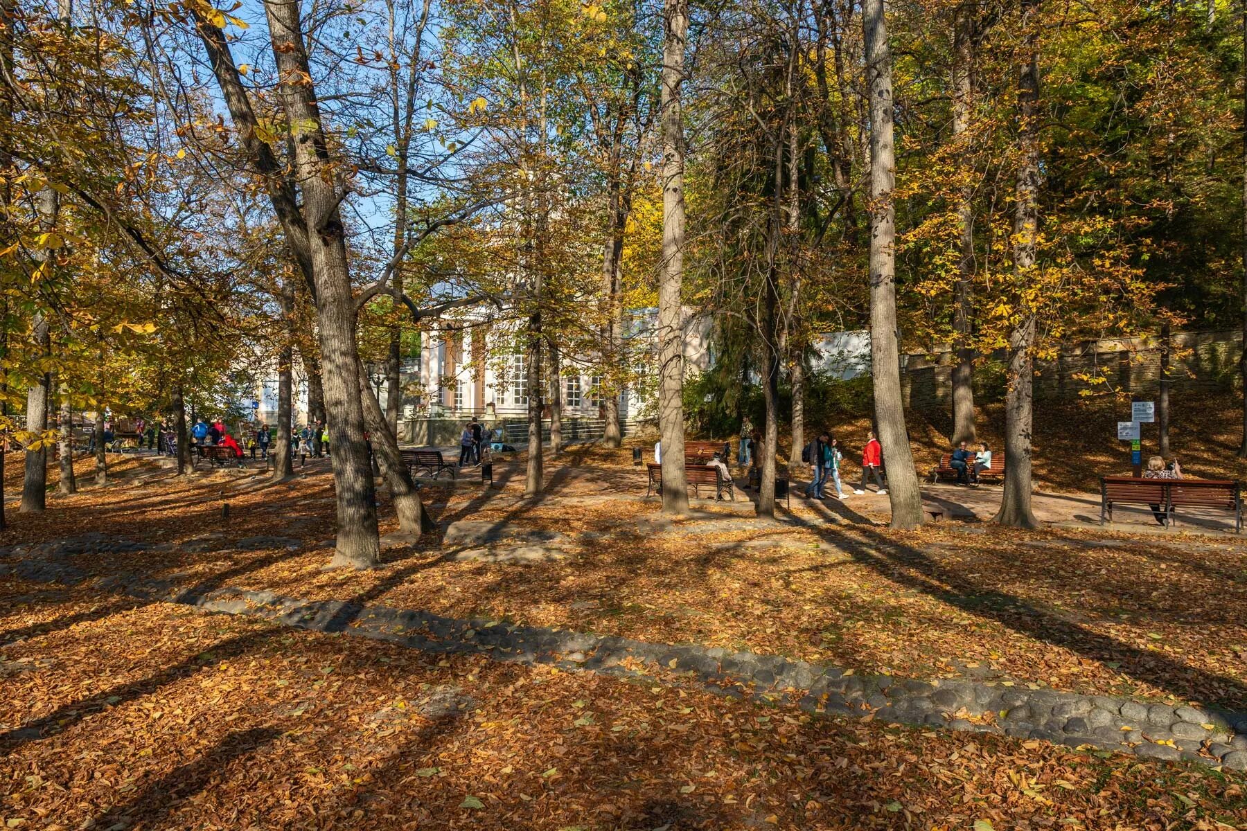 Кисловодск луна в парке фото вот такой октябрь, вот такая осень.... Фотограф Владимир Гамаюнов