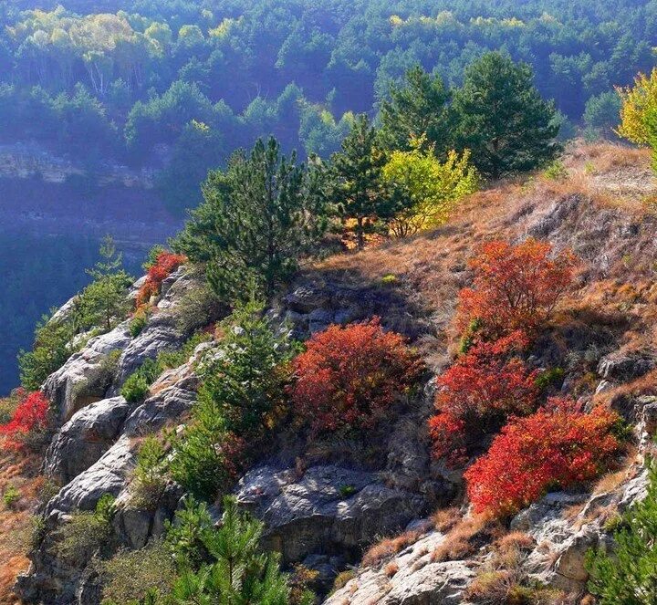 Кисловодск осенью фото Ноябрьский Кисловодск прекрасен ❤ Едем 12 ноября большой компанией, погода обеща