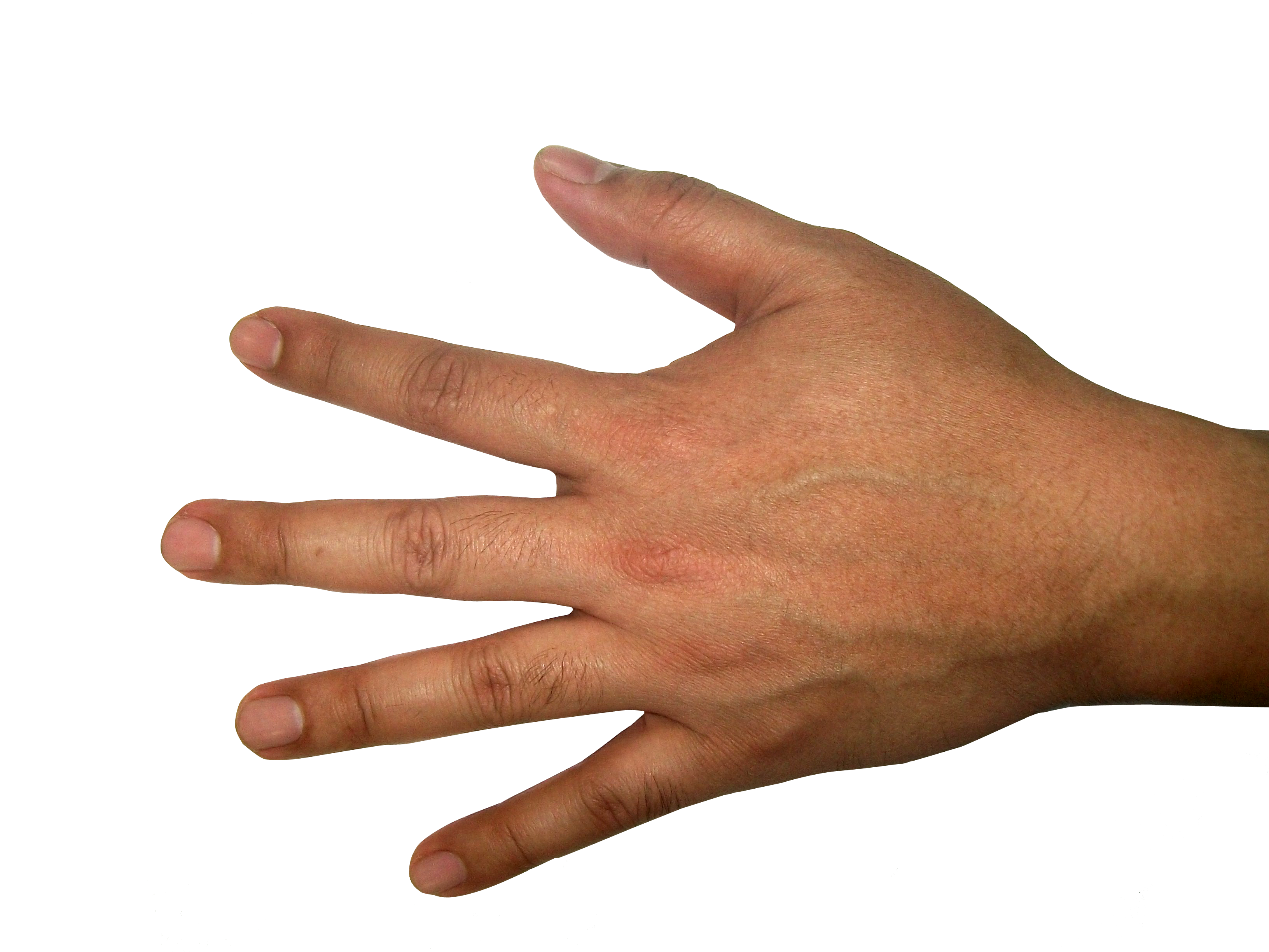 Кисть руки фото Five Finger Hand PNG Image Finger hands, Hand illustration, How to draw hands