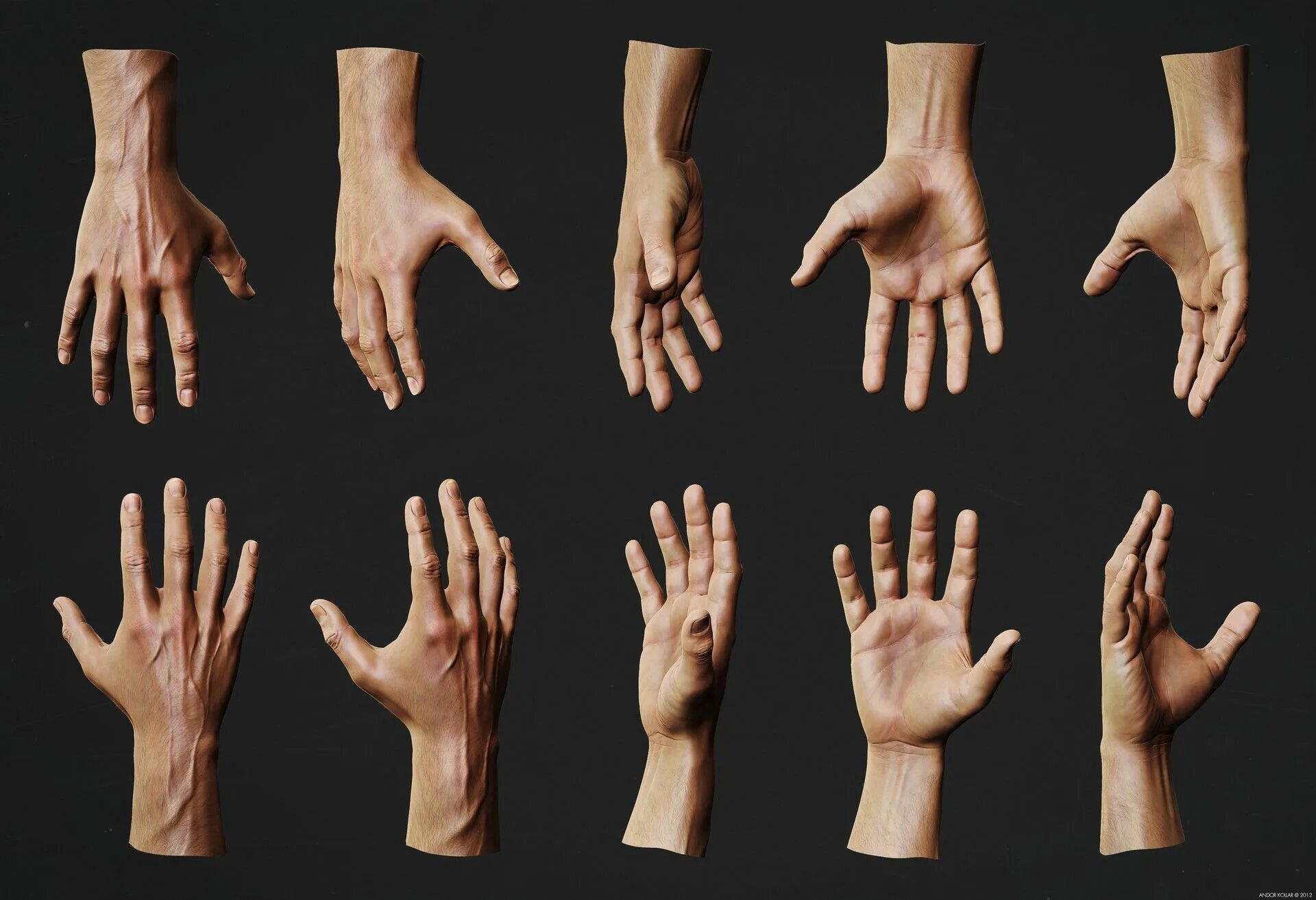 Кисть руки фото ArtStation - Hand Studies, Andor Kollar Hand anatomy, Hand reference, Anatomy re