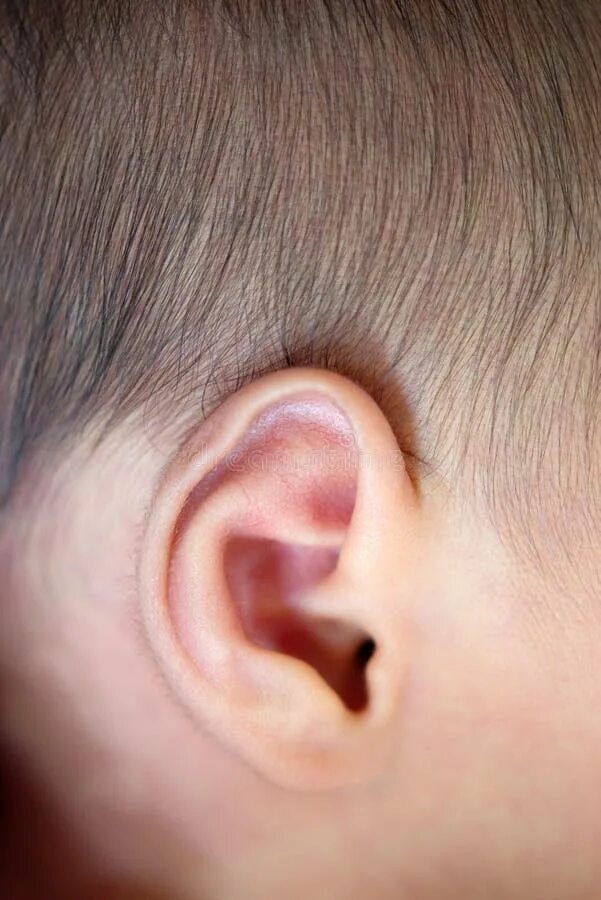 Киста на ухе у ребенка фото Close up newborn baby ear stock image. Image of growing - 104325799
