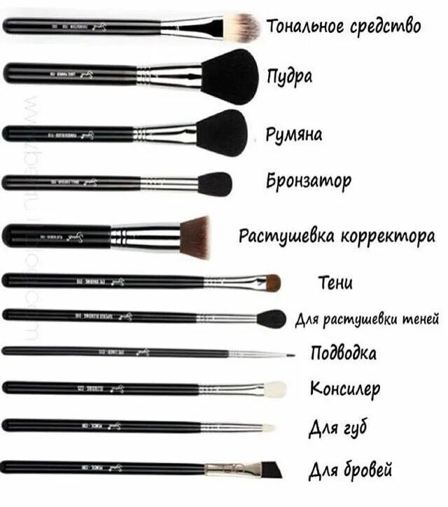 Кисти для макияжа какие лучше выбрать Pin on Makeup Eye makeup brushes, Skin makeup, Makeup brushes 101