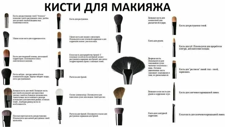 Кисти для макияжа какие лучше выбрать Пин на доске woman's stuff Кисти для макияжа, Макияж, Макияж тени для век