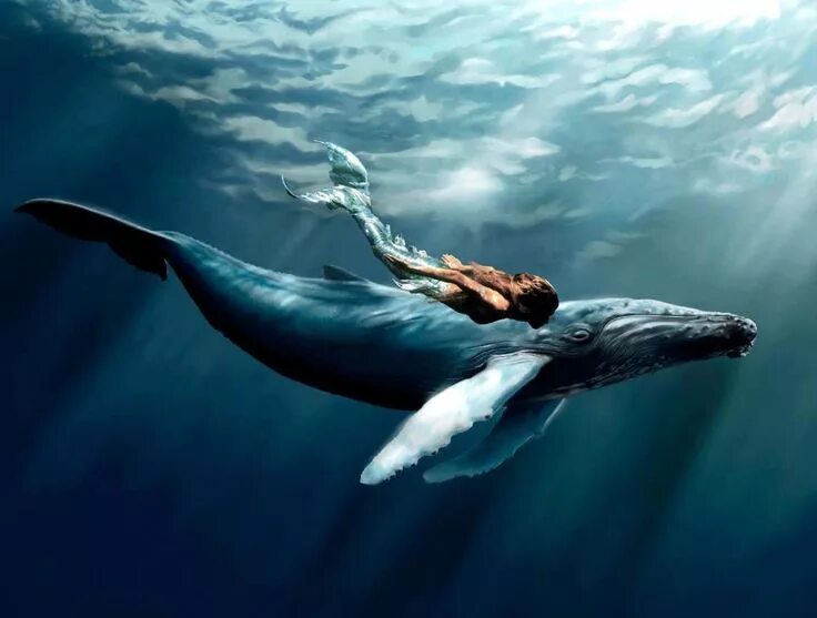 Кит в воде фото Human Longevity Could be Understood With Whale Genome Megalodon, Baleia jubarte,