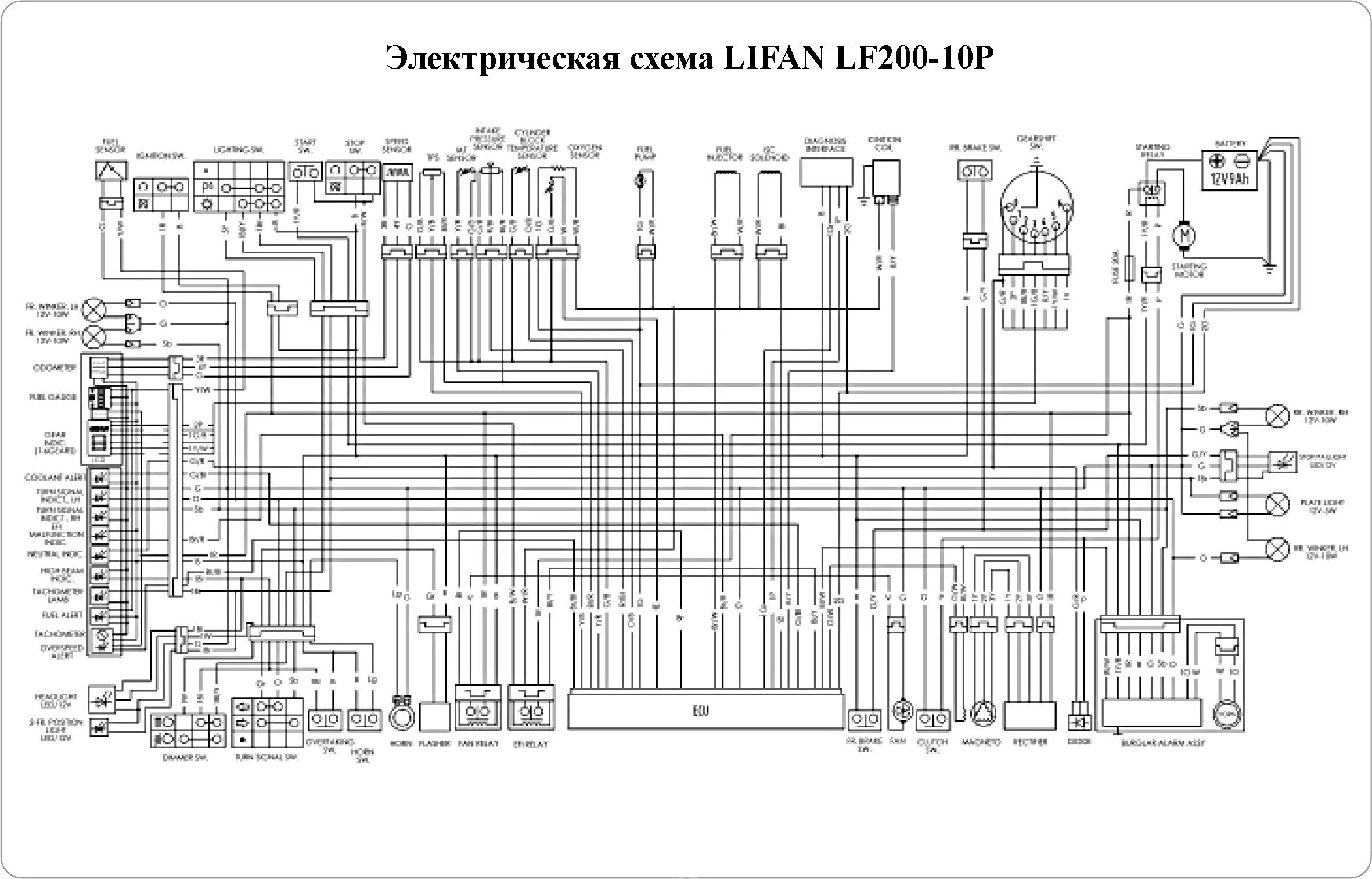 Китаем электросхемы Сиденье пассажира LIFAN LF200-10P (KPR 200) ChinaMoto