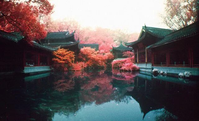 Китай фото эстетика Guozhuang Garden Japan, Japan travel, Japan aesthetic