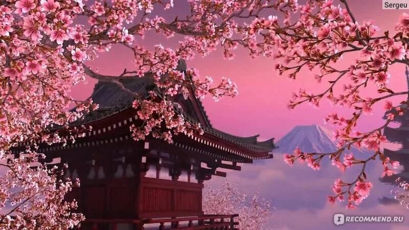 Китай сакура фото Blooming Sakura 3D Screensaver - "Очень красиво цветущая сакура (+скриншоты)." о