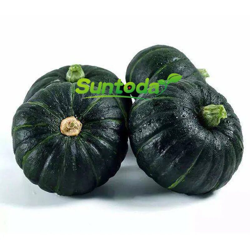 Китайская тыква фото Round Black Beibei Hybrid Smal Pumpkin Seeds 100seeds/bag - Buy Pumpkin Seeds,Pu