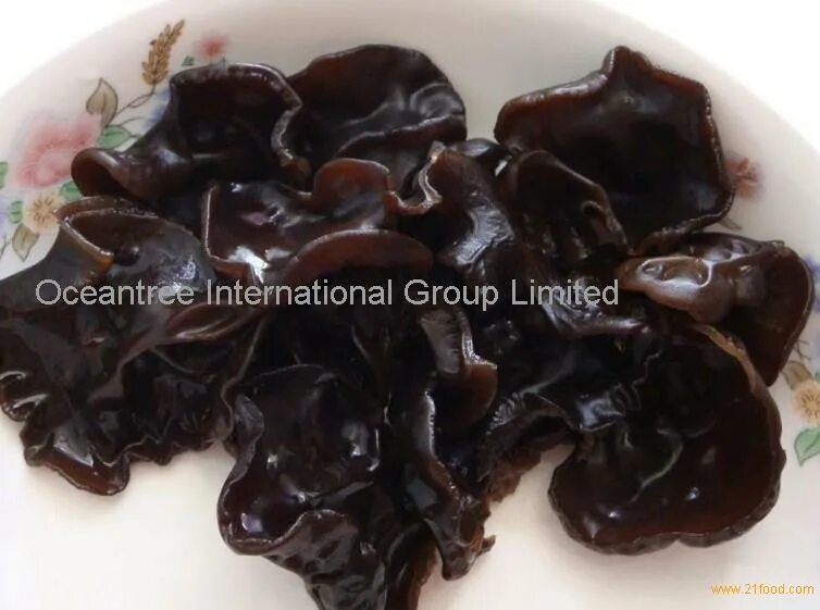 Китайские грибы фото black fungus,China ZhuoYue price supplier - 21food