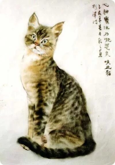 Китайские котята фото Gu Yingzhi (1945-present, Chinese) Кошачий эскиз, Кошачьи картины, Кошки и котят