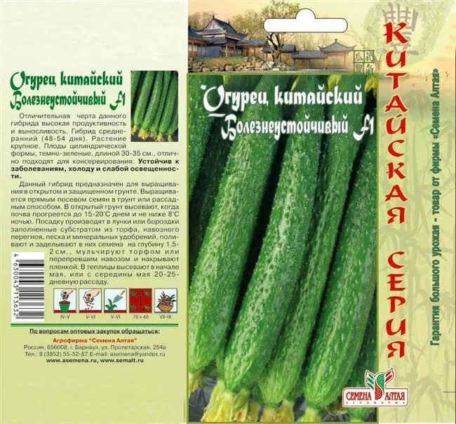 Китайские огурцы фото и описание Огурцы Китайский император F1: характеристика, правила посадки и способы ухода