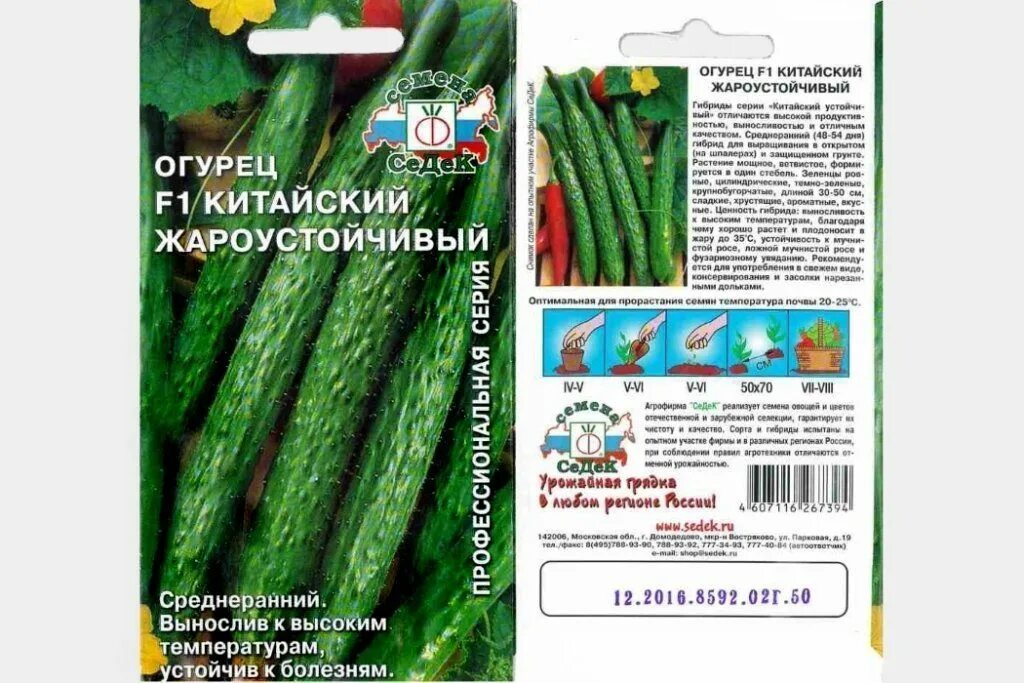 Китайские огурцы фото и описание Чем примечателен Китайский огурец? Особенности посадки и ухода. Китайский огурец