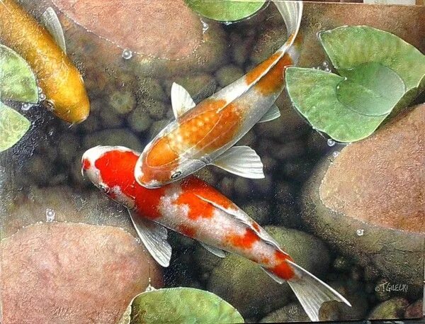 Китайские рыбки фото Pin by Sutachet on ภ า พ ว า ด ป ล า ค ร า ฟ Koi fish drawing, Watercolor fish, 