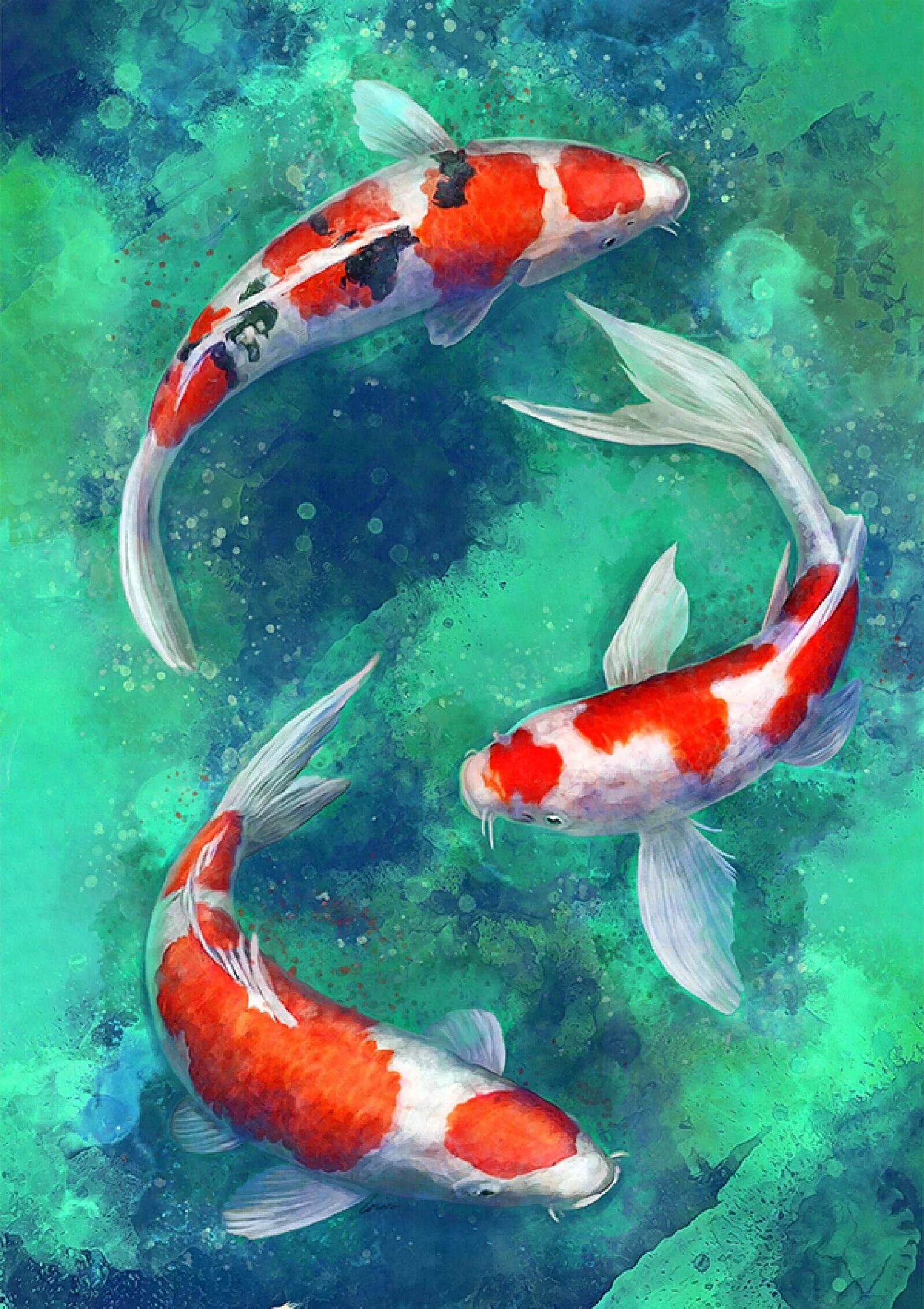 Китайские рыбки фото Карпы кои Koi fish drawing, Koi art, Koi watercolor
