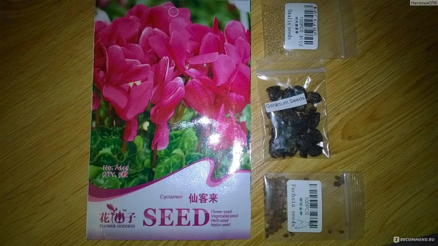 Китайские семена фото Семена герани AliExpress. (10 pieces / lot), Geranium seeds, potted balcony, pla