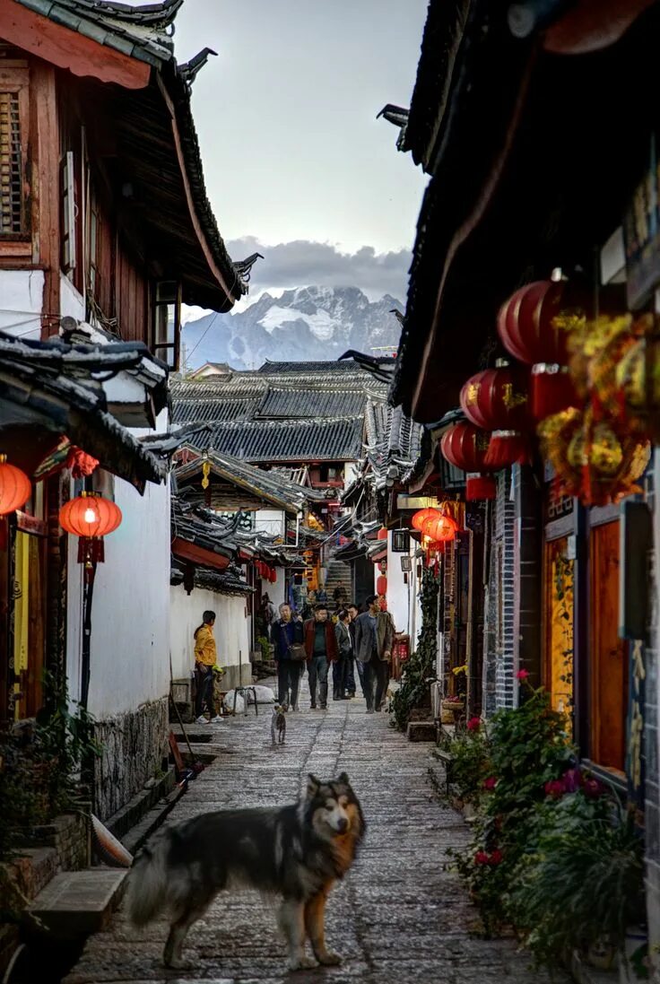 Китайские улицы фото On the ancient Tea Horse Trail, the UNESCO listed town of Lijiang, Yunnan, China