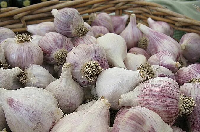 Китайский чеснок фото Leki ziołowe z właściwościami antybiotyków Growing garlic, Garlic, Garlic butter