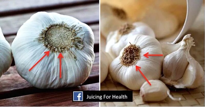 Китайский чеснок фото You Are Most Likely Consuming Bleached And Chemical-Laden Garlic From China. Her