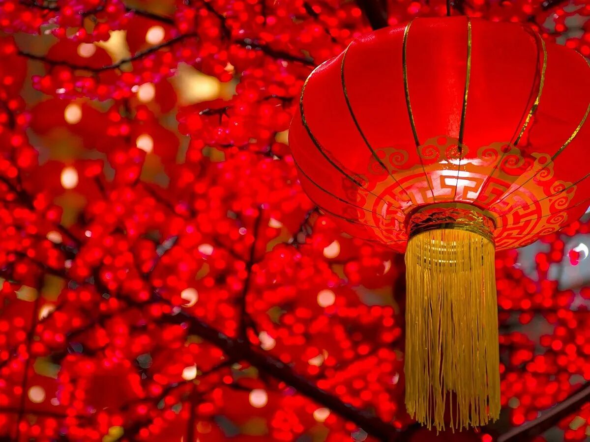 Китайский новый год картинки SHOPPING TOURS SHANGHAI-DAY TOUR: Tutto quello che c'è da sapere (AGGIORNATO 202