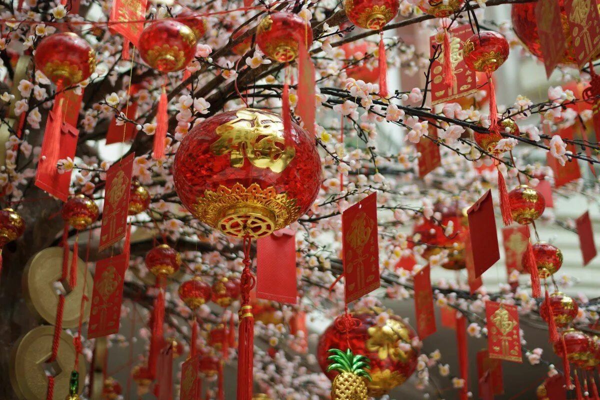 Китайский новый год картинки Chinese New Year 2013: Traditions and Celebrations Chinese new year traditions, 